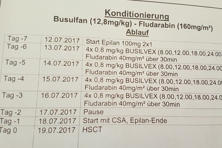 Ein neues Leben beginnt, Stammzellentransplantation