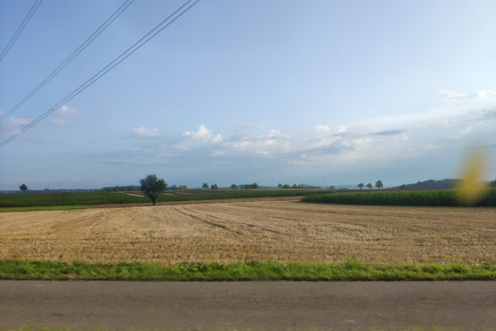 Augenbremst – Zwangspause nach einer Woche