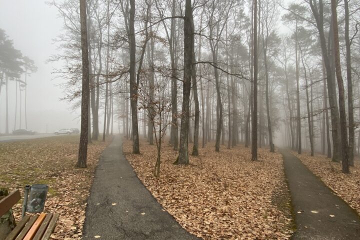 Es ist nicht alles schwarz. Manchmal ist es auch grau.