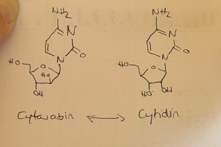 1. Konsolidierungsphase mit Cytarabin