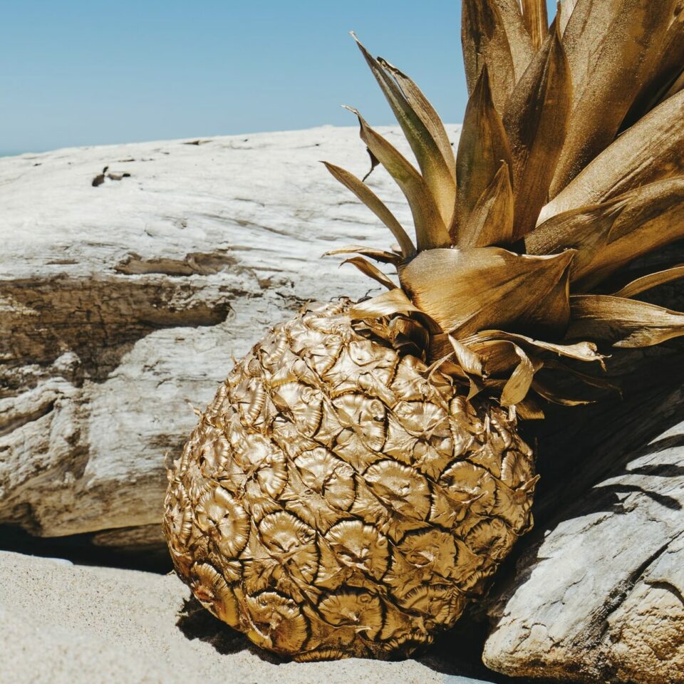 Partner Pineapple Supply Co Irk KPCWZoY Unsplash Aspect Ratio