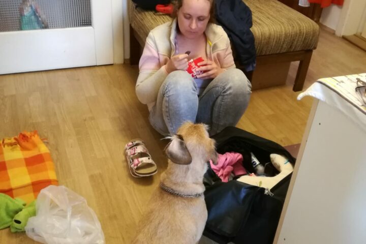 Koffer packen
