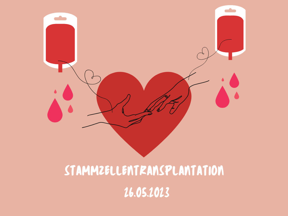 Blind Date mit der Liebe meines Lebens?!  Die STAMMZELLTRANSPLANTATION