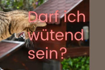 Darf ich wütend sein?
