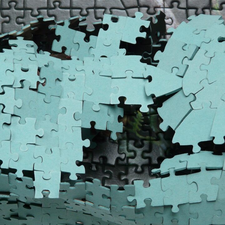 Das Puzzle