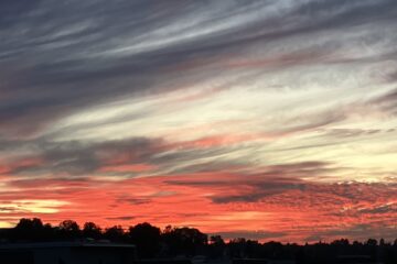 (K)ein Blick aus dem Fenster