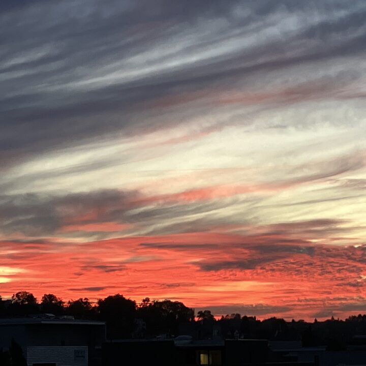 (K)ein Blick aus dem Fenster
