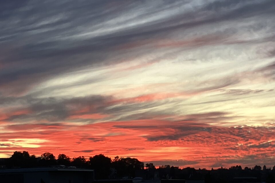 (K)ein Blick aus dem Fenster