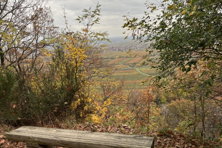 Was ist und was wird anders?