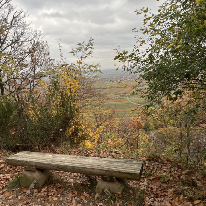 Was ist und was wird anders?