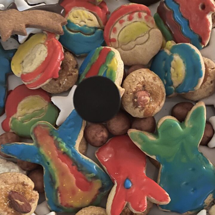 Profilbild Sirenella sirenella