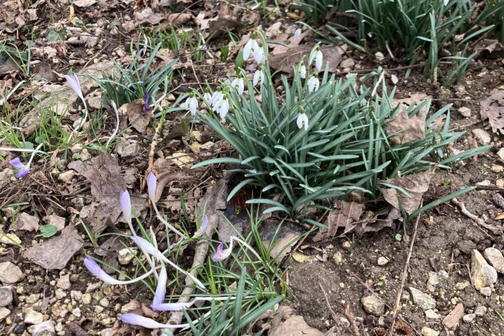 Was mich nicht umbringt…?