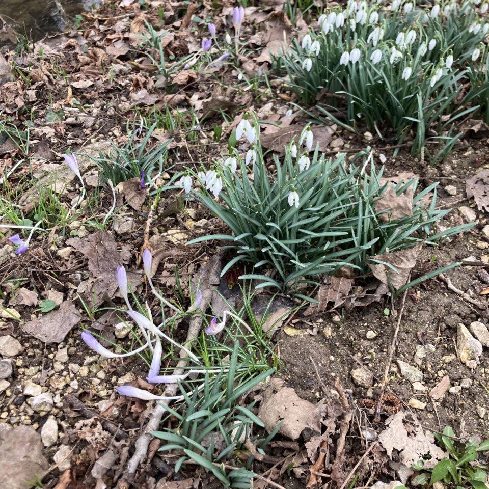 Was mich nicht umbringt…?