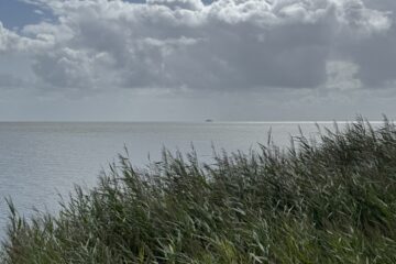 Ist das noch gesund?