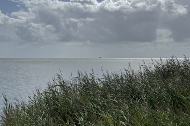 Ist das noch gesund?