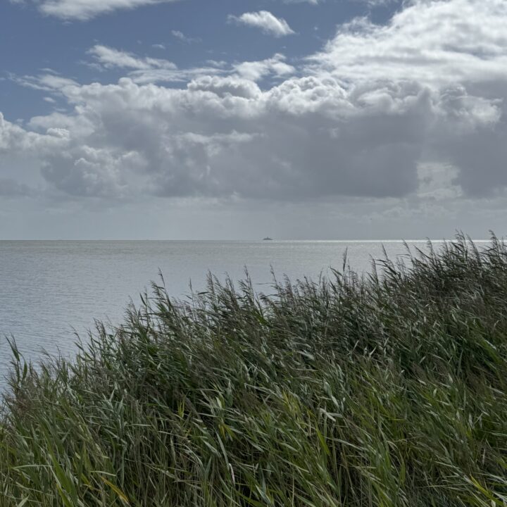 Ist das noch gesund?