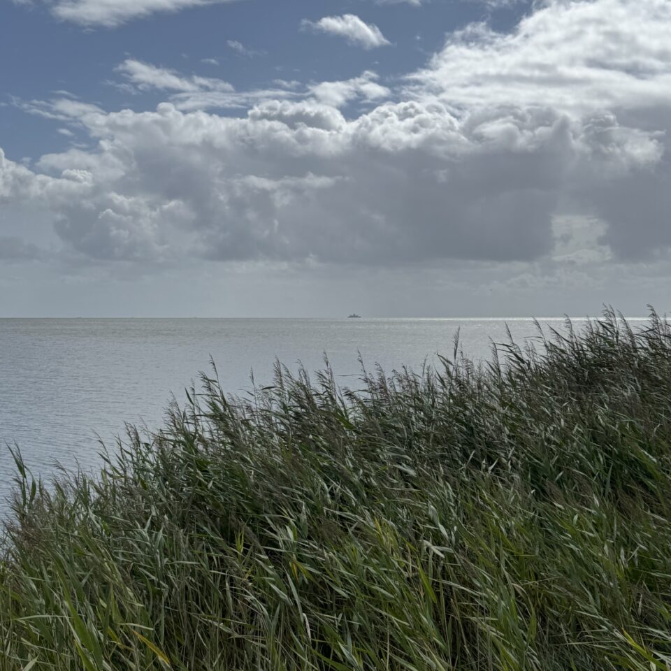 Ist das noch gesund?