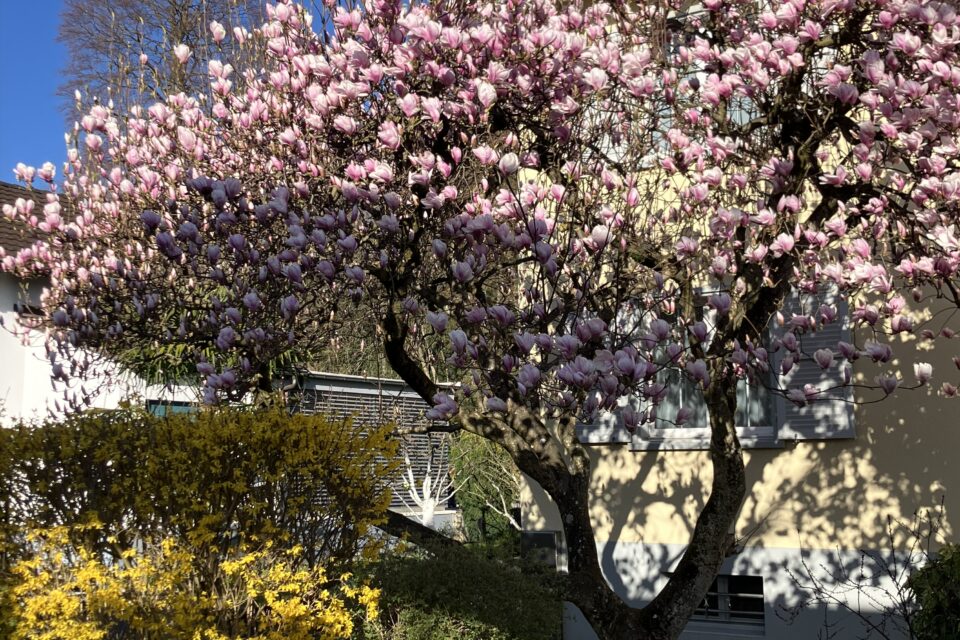 Ja diese Lebensqualität…?!