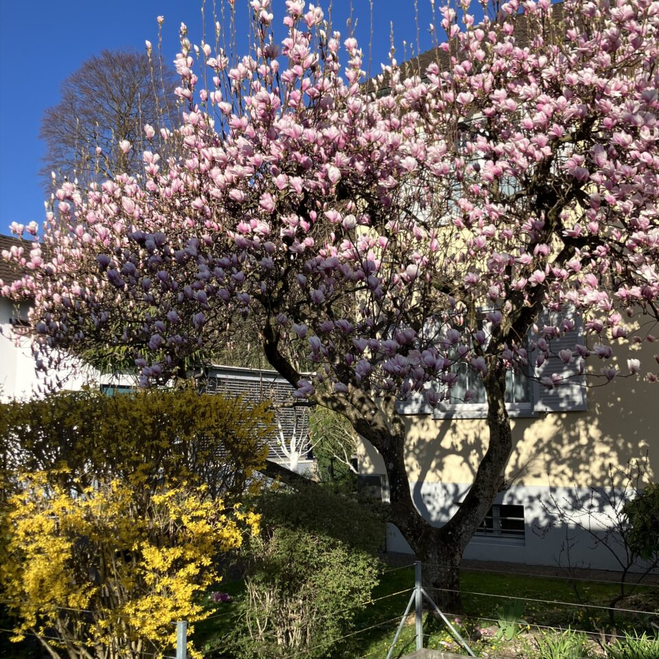 Ja diese Lebensqualität…?!