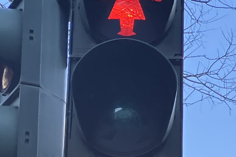 Schattenseiten
