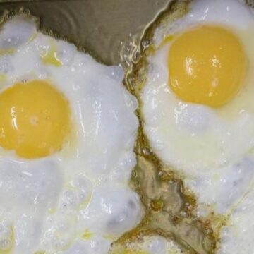 Eulenspiegel WhatsApp Image At